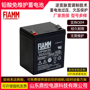 FIAMM�Ƿ�2XL200�U����S�o��늳�2V200AHֱ�����L늈�����վ����