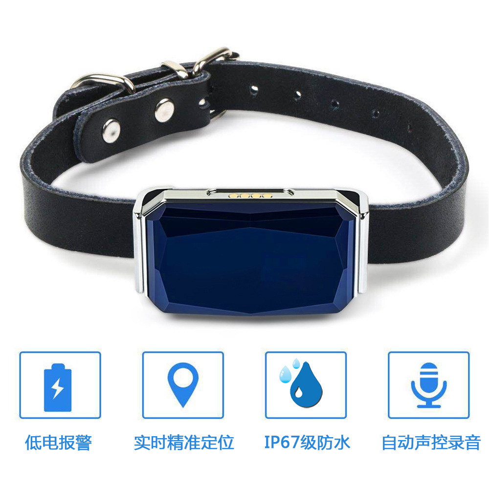 G12 New Gemstone Ip67 Waterproof Pet Gps Locator Dog Cat Cattle Sheep Hunting Dog Tracking Anti-Lost
