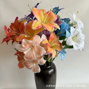 ��ݰٺχ��Lϵ�¿����ٺϻ���c�bҾӔ[���Ƶ�ܛ�b���ĬF؛