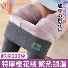 打底裤女秋冬加绒加厚高腰保暖裤东北特厚一体棉裤薄绒秋裤毛绒裤