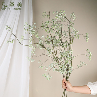 �������13������ɽ�w�������ٗl�{���p�@֦�l��ˇ��ʽ�����b�