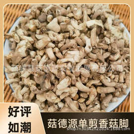 源头产地定制精选西峡单剪香菇脚单剪香菇腿冬菇柄批发打磨抛光