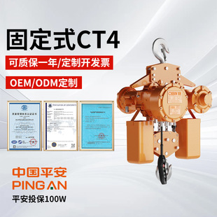 Zhejiang Hakeng Explosion-Proof Hoist Ct4 Fixed Ring Chain Hook Electric Hoist Micro Lifting Car Lifting Crane