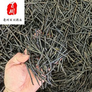 �����l���ඡ�躣�Ͽඡ�� �x���� 15��o�l����