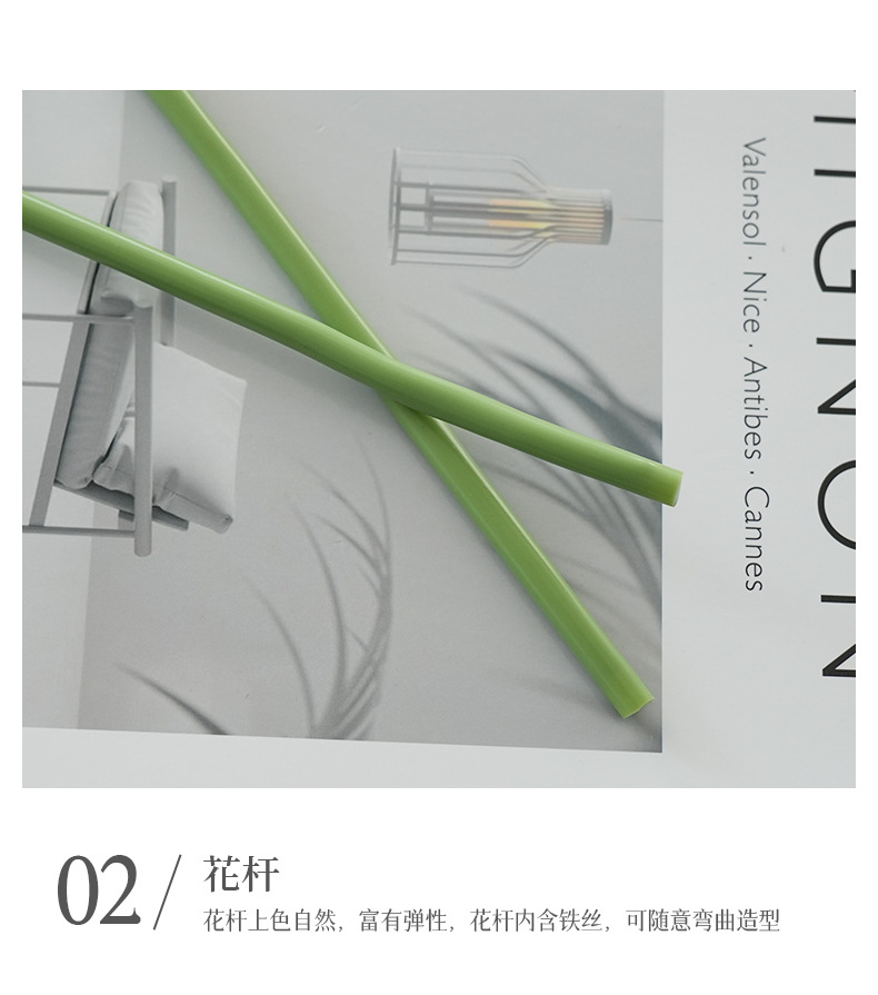 单枝奥斯丁郁金香（大号）_12.jpg