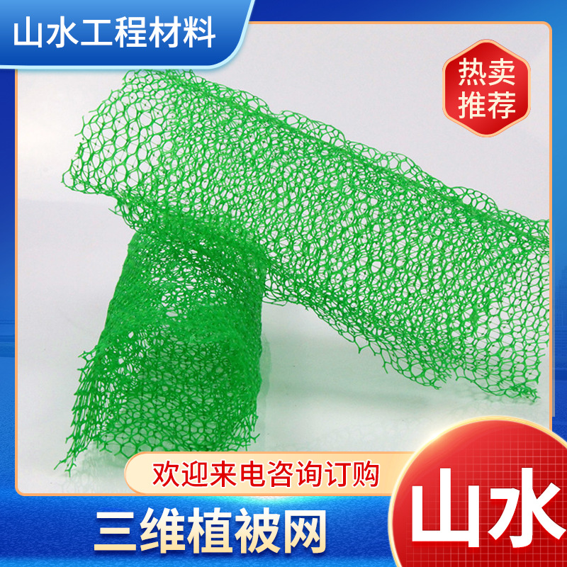三维土工网垫现货批发 边坡防护三维植草网 EM2EM3三维植被网