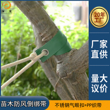 羳PDDNľL̨LľԾG̶ֲLKuۿۿ