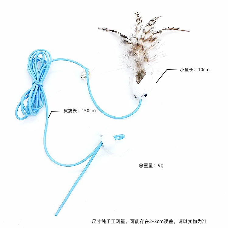 작은 물고기 깃털