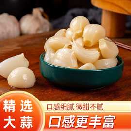 糖蒜瓣糖醋蒜腌大蒜山东新鲜大蒜咸菜下饭菜泡蒜糖蒜商用酱菜代发