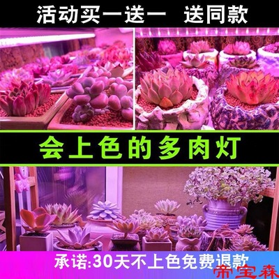 全光谱led多肉补光灯家用上色快防徒长防太阳光花卉育苗植物生长|ms