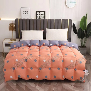 qƷ荽që׸ܶrԳqđоl