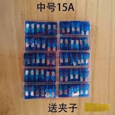 Other Electric Vehicle Accessories: Special Charger Overcurrent Protection - enhanced-version-100-pieces-medium-size-15a-comes-with-clip