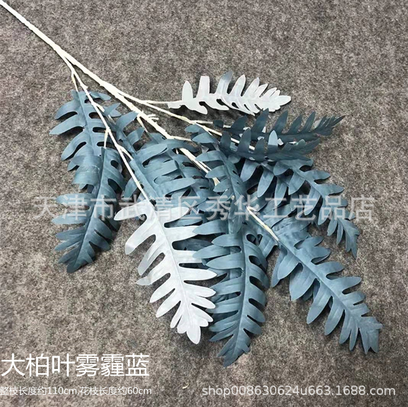 큰 편백나무 잎