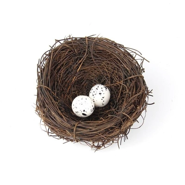 10 cm bird's nest with 2 eggs