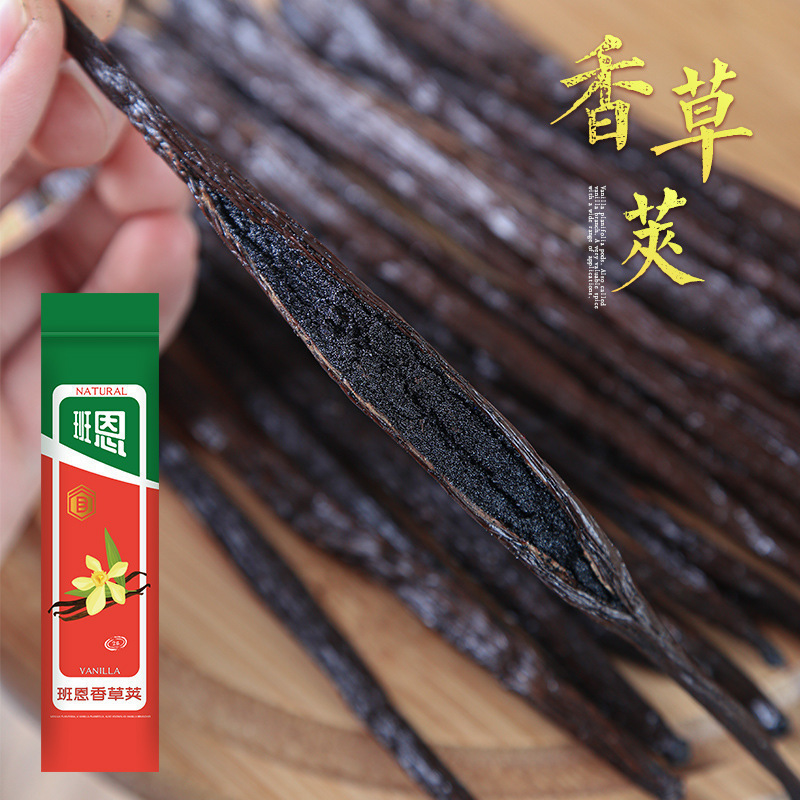 Bann motor Gargas vanilla pod 13-19cm single Tahitian vanilla bean Horse Island Vanilla Stick for baking Bann motor Gargas vanilla pod 13-19cm single Tahitian vanilla bean Horse Island Vanilla Stick for baking