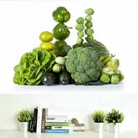 30493青菜白菜新鲜绿色蔬菜白菜土豆玉米青菜图片画册海报