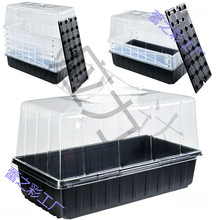 ���ӱ�������Ǥ�吞�B���䲥�N�����ױ���ů���w��ֲ���