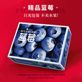蓝莓包装盒定做加印怡颗莓礼品空盒水果现货包装箱定制