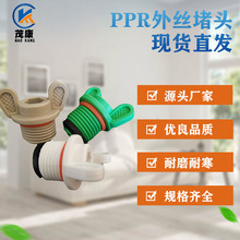 �S�ҹ��� PPR��z���^ ��ƤȦ���^ �ӹ����l4��6��ppr���^