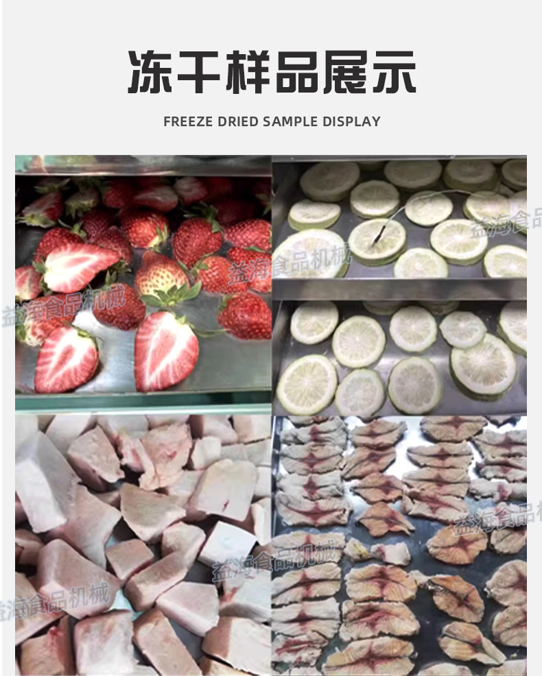 冻干机1_10.jpg