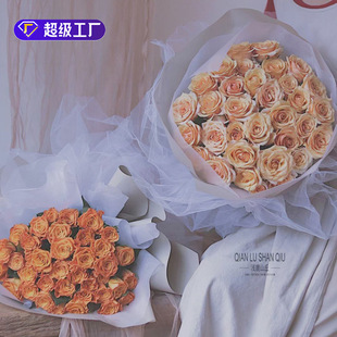 ϲԣ�¿�ɭϵ�L���W�������°����W�����ް����r�����b�������l