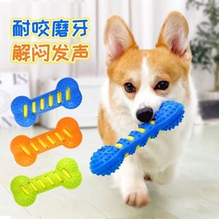 ��������␞�������ĥ������TPR�l����Ȯ���^��ë�»����W�t