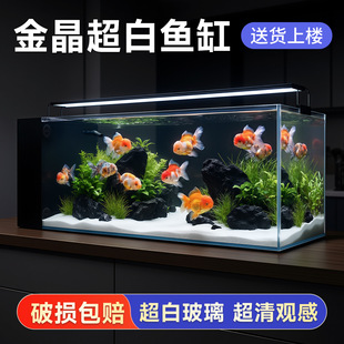 �����~�ױ��Vһ�wʽѭ�h���׺���С������ɝ���x���B�쾰���~��