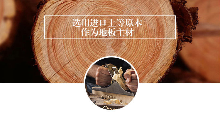 详情11