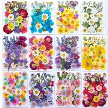 X 49377 Pressed Flower Bookmark Kit �ɻ���ǩ���� �羳ŷ����