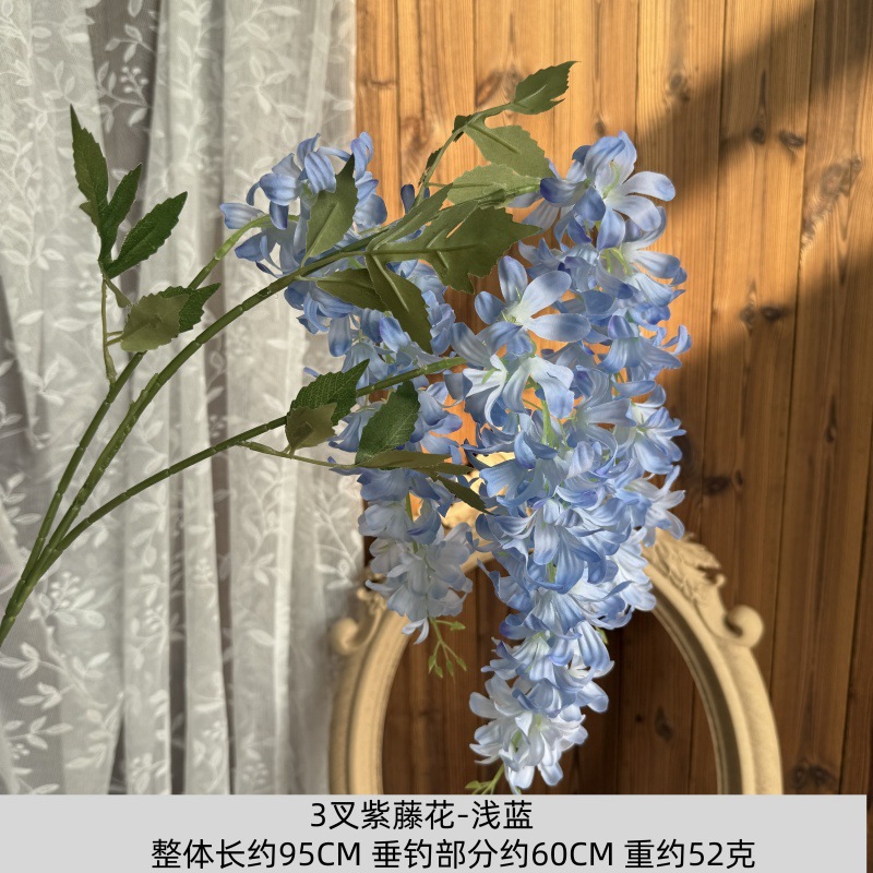 세 갈래 등나무 꽃