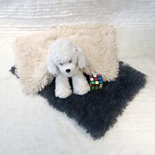 �羳����̺�p���Lë�q�����|��؈��˯̺�д���Ȯ�C�|̺����|��