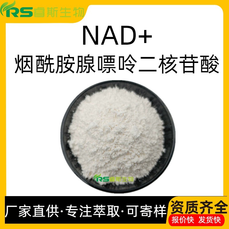 Nad+99% Nadh Reduced Form Nicotinamide Adenine Dinucleotide 53-84-9 Raw Material Powder