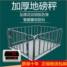 电子地磅秤1-3吨地称电子秤地磅秤称猪称牛小型地磅秤工厂物流磅