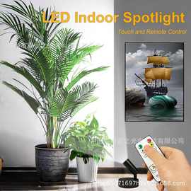 LED室内可充电植物聚光灯360° 旋转艺术品绘画树植物图片照明灯