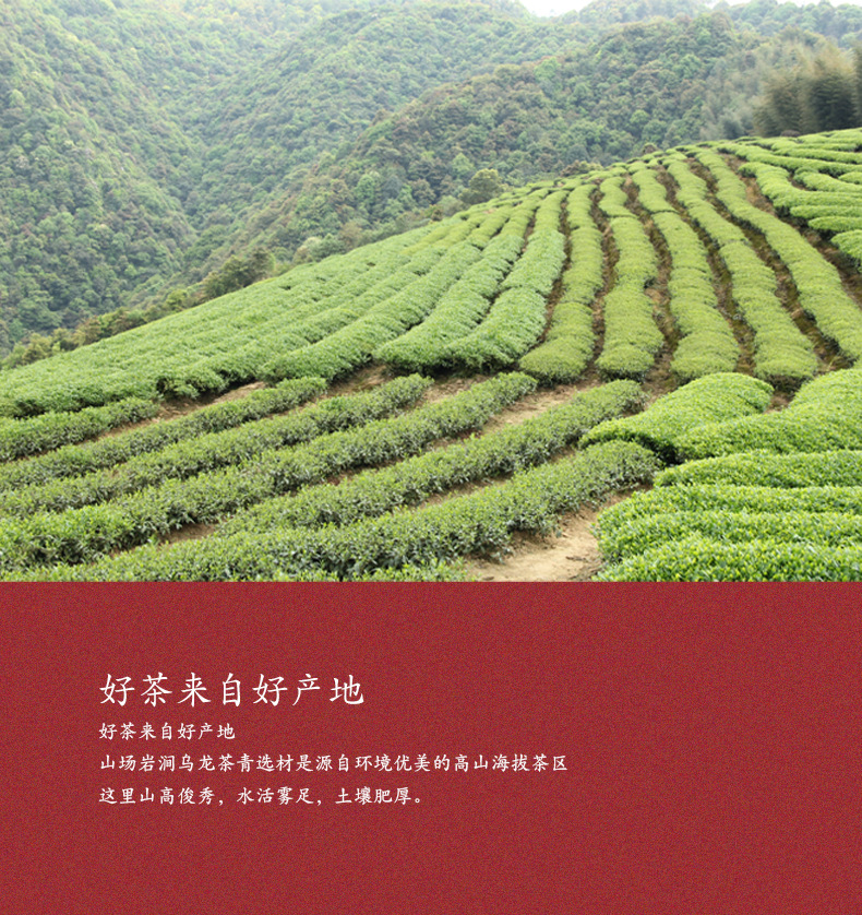 Wood material 11_02 jpg