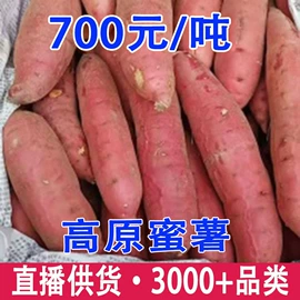 其他药食同源;花果茶;普洱茶