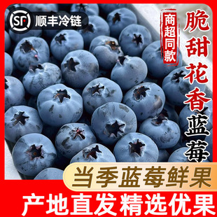 2025�{ݮ�r���߶����rˮ���������w��ɽ�����ЋD���䑪��ˮ��