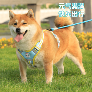 New washable breathable mesh high-value pet leash explosion-proof reflective adjustable dog chest strap