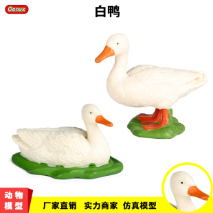 ���������ģ�͌����o�B��������Ұ���G�^����ͯ�J֪������z�[��