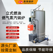 ��ʽ0.3t/hȼ��ȼ������偠t�״�Һ��������Ӛ�����ˮ�a�Bֳ