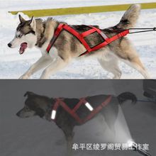 ѩ��Ȯ�����KŤŤ܇�޹��K�ر�������ʽ���Ͱ���˹܇��ѩ����܇