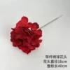 Bringing rod hydramal head-wine red