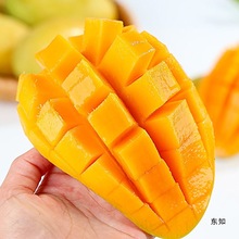 âr]Ͻââ󮔼ˮ̨rFâl