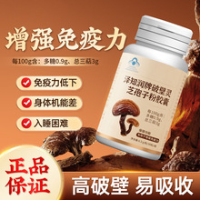 泽知润牌破壁灵芝孢子粉胶囊批发 蓝帽保健食品灵芝孢子粉胶囊