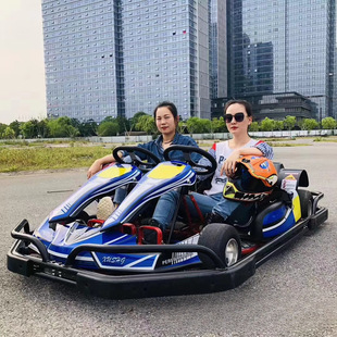 Track Competition Karting Adult Honda Lifan Drift Speed F1 Formula Four-Wheel Racing Single and Double Manufacturer