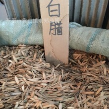 ˮNӹľNɢb^G^~N^pֲN