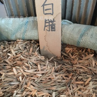 Ash Seeds Supply Forest Seeds in Bulk Perennial Landscape Greening Foliage Seeds Ornamental Tree Plant Species