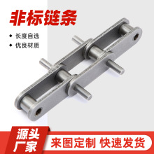 工业链条输送链条 非标P75/P100/P125P150P150大节距链条厂家直销