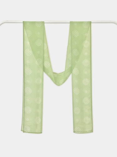 Hanfu shawl, green chiffon printed myrobalan skirt, versatile chest-length skirt, dance ribbon, restored Tang style