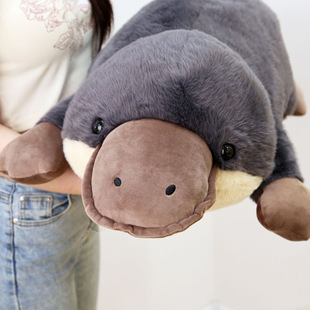 �¿�����Fë�q��߱���ɳ�l���|���e�����ͶY����ż���ЏS�����l